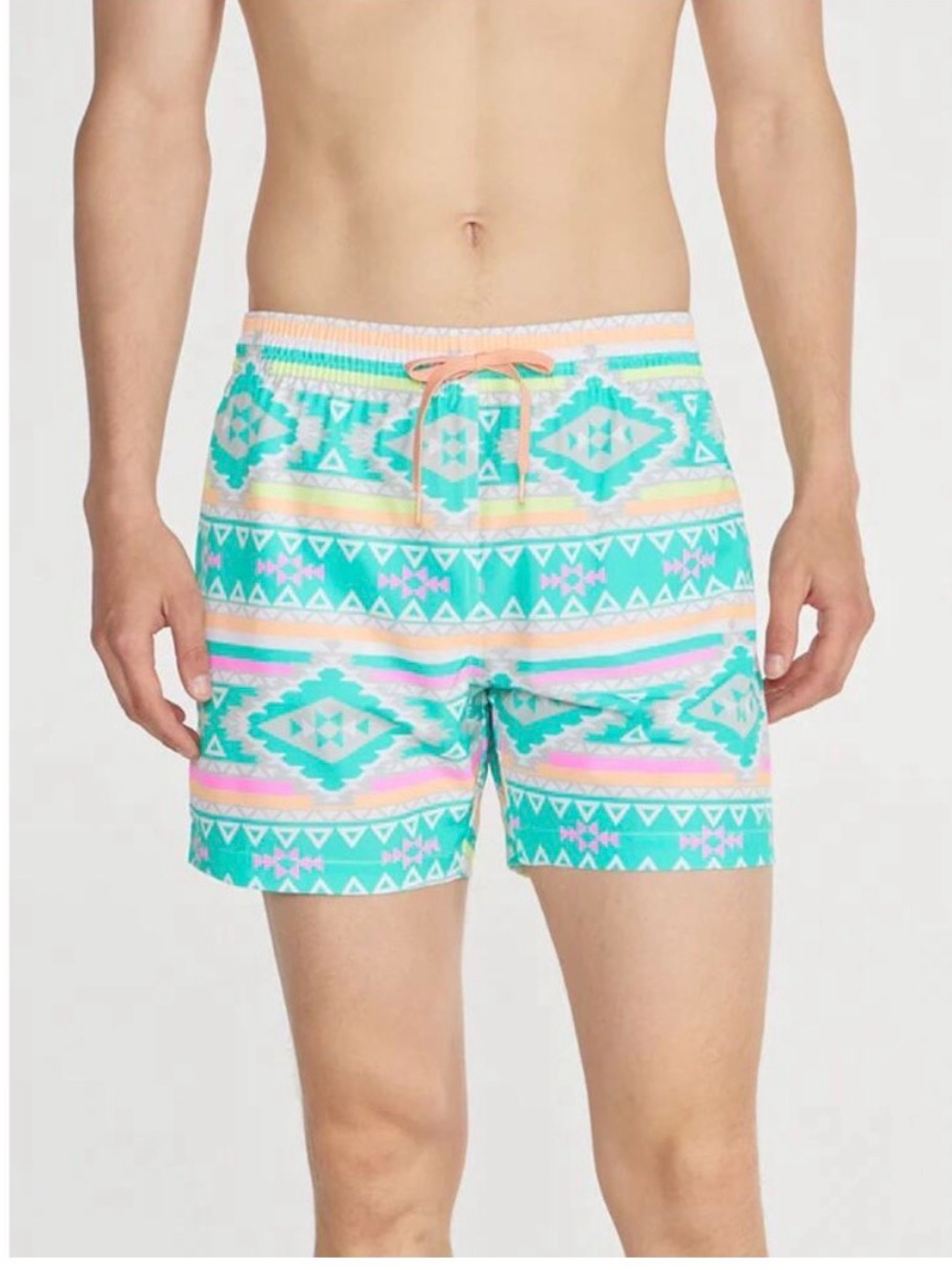 Chubbies Swim Trunks- 5.5 inch